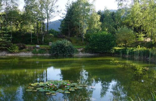 La maison et l'étang de pêche - Foto 19