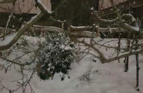 Ferienwohnung Am Geysirzentrum - Foto 47