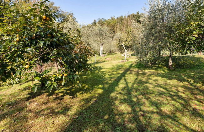 Belvilla by Oyo Casa Polvere di Stelle - Foto 24