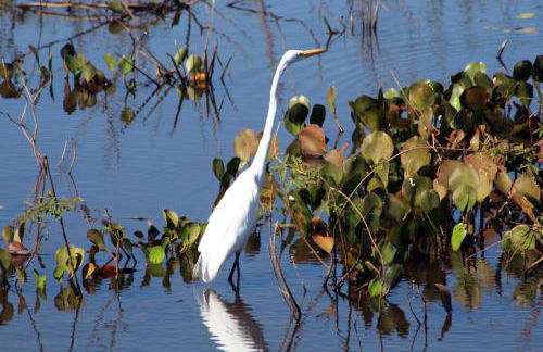 Vila Hillia - Preá, CE - Foto 34