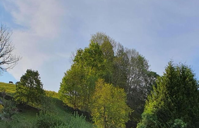 Tranquil Stay in Dornthal - Foto 37