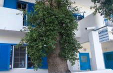 Milisia Rooms - Foto 3