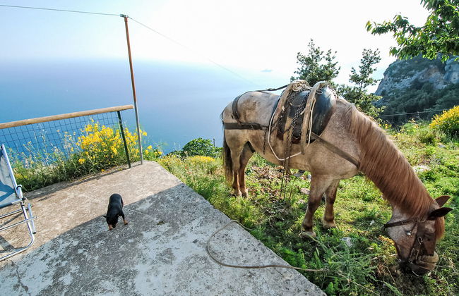 Dea Afrodite - Foto 17