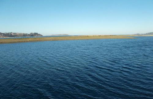 Les hortensias - Foto 28