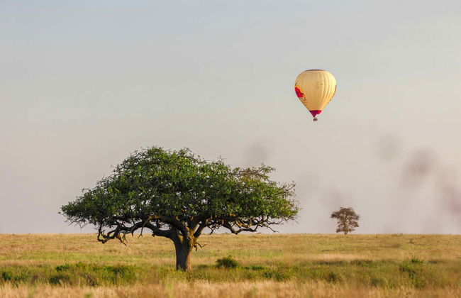 Balloon Ride Over Serengeti National Park - Foto 14