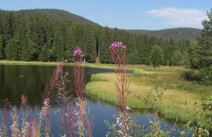 WEITBLICK "entspannen - wohlfühlen - aktiv erholen" - Foto 39