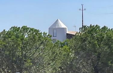 Moinhos da Pateira - Moagem - Foto 8