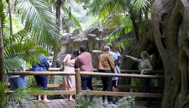 Atendiendo a la explicaciones del guía