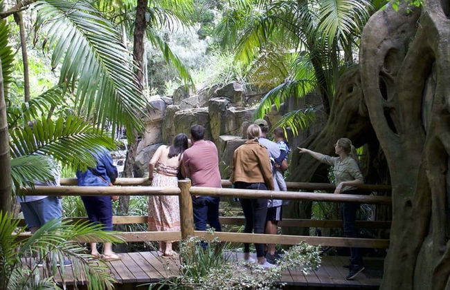 Excursão às Glow Worm Caves da montanha Tamborine - Foto 5