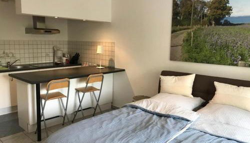 Ferienwohnung am Mühlenpark - Foto 4