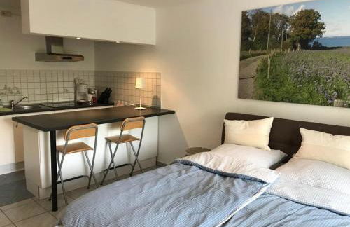 Ferienwohnung am Mühlenpark - Foto 4