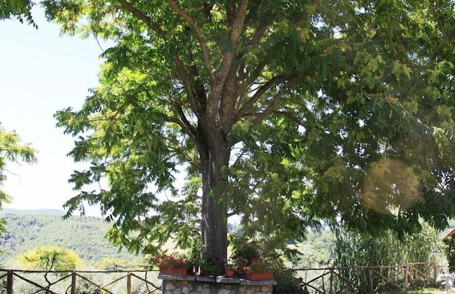 Podere Agrituristico Luchiano - Foto 35