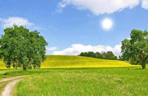Gorgeous Home In Krems Iiwarderbrück - Foto 21
