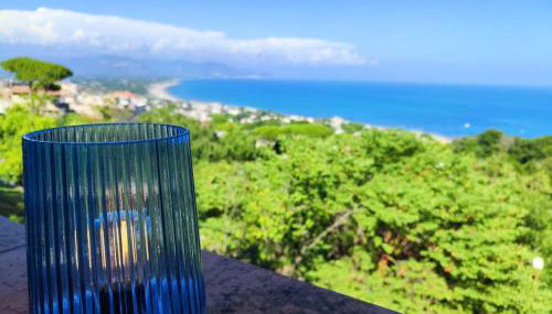 Pino Marino - Foto 2