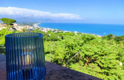 Pino Marino - Foto 2