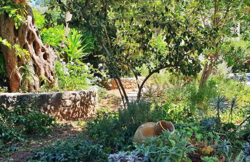 Mansion like house close to beach and Corfu town - Foto 20