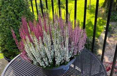 Loaninghead Holidays - Foto 50