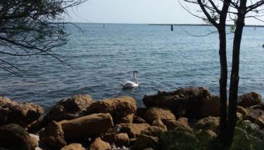 I colori del mare - Foto 5