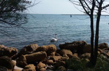 I colori del mare - Foto 5