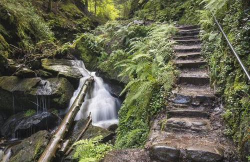 18 Lamont Lodge - Foto 13