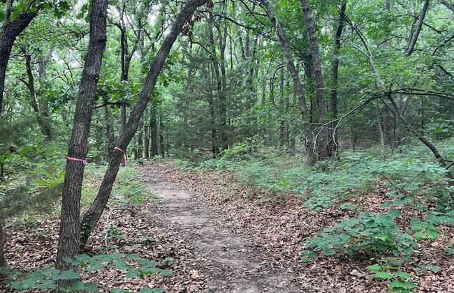 Cabin 9 ~ Toronto Lake: Fishing, Swimming & More! 1 Bedroom Cabin by RedAwning - Photo 20