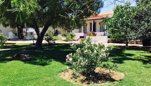 Vale de Camelos Country House, Alentejo, Portugal. - Foto 1, Garden, Garden view