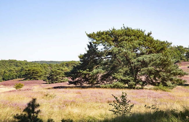EuroParcs Brunssummerheide - Photo 57
