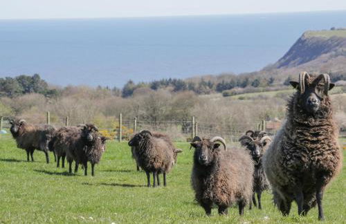 Swallow Cottage - Foto 20