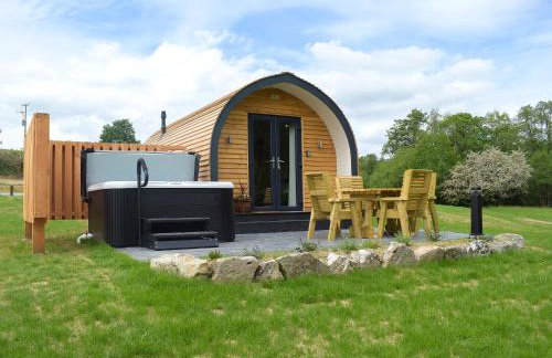 Efyrnwy Pod Vip - Foto 2