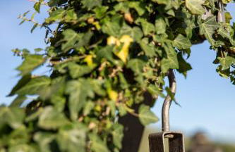 Capitati...per caso - Foto 35