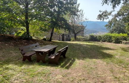 Mas Puig De Baix with private Pool and gardens - Foto 34