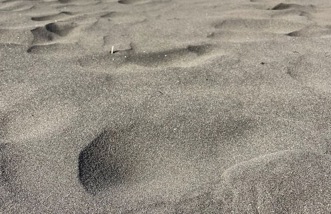 Sunny Seaview Modern apt - Pool and Beach Access - Foto 34