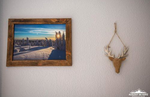 Auszeit-im-Harz Haus 1 Wohnung Schnarcherklippe - Photo 19