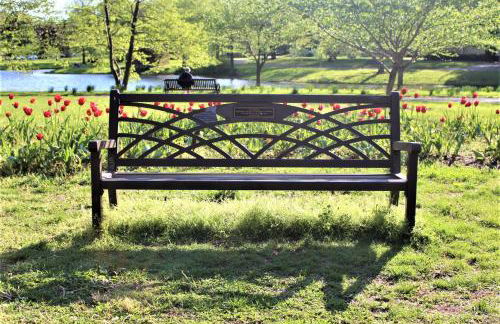 Chic 2BR near DT, 8 min walk to Park&Conservatory - Foto 13