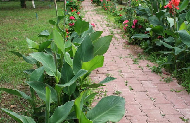 Naz Apart Cirali - Photo 22