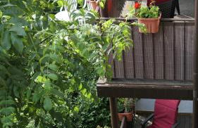 Gästehaus Guter Stern - Foto 9