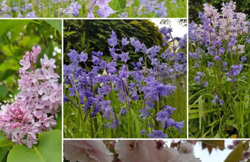 Cute Quirky Cottage - Photo 18