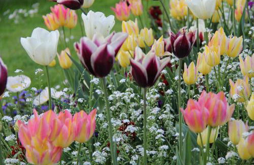 Maison Les Chênes - Jacuzzi - Calme & Idéalement situé - Clim - Salle de Jeux - Parking - Foto 70