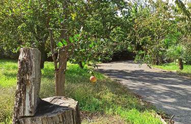 La terra dei ciliegi tra l'Etna e il mare di Taormina - Foto 10