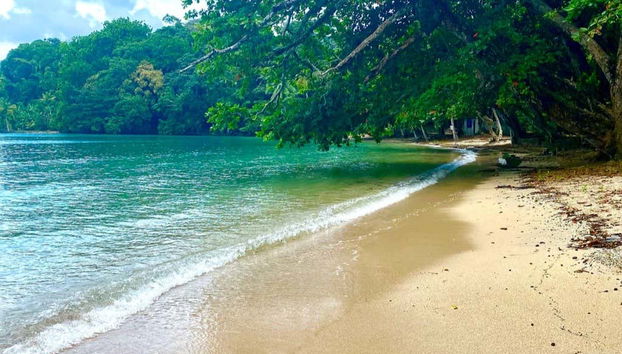 Playa Blanca est un paradis dans les Caraïbes panaméennes