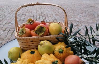 Carvalhal Redondo - Farm House - Foto 13