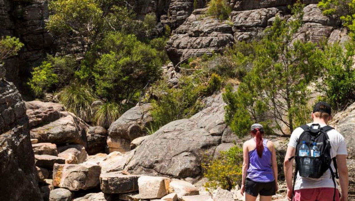 Excursión al Parque Nacional Grampians