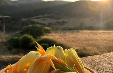 Agriturismo Sa Tanca Noa - Photo 13