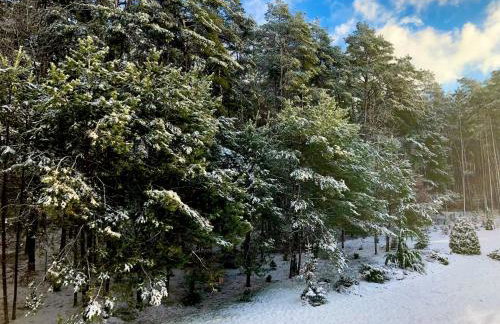 Apartament przy lesie - Foto 28