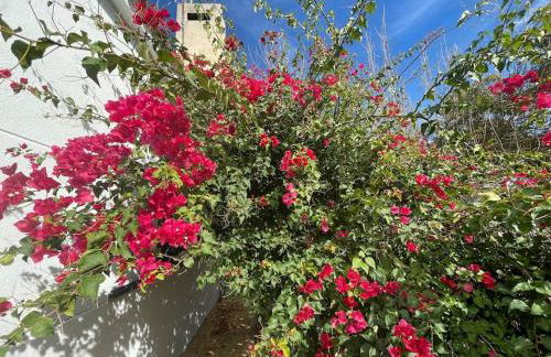 Sunset Villa Arcos - Foto 40