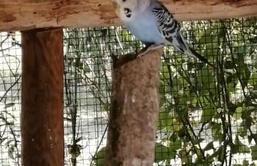 Agriturismo Nuvolino - Foto 65