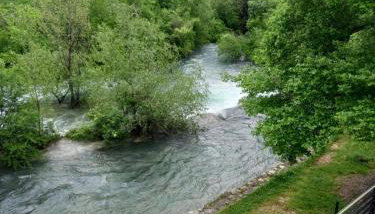 Green Diamond - Foto 3