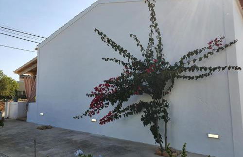 CAN PEP MAYANS - Foto 22