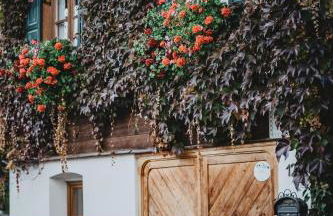 Ferienwohnungen Holler - Foto 33