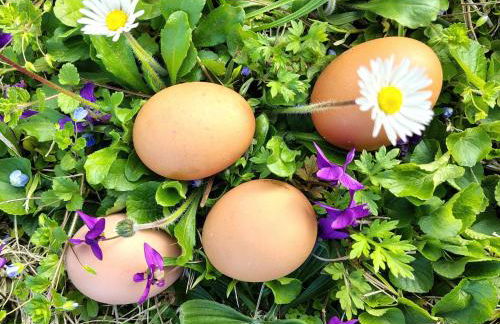 La Casa Gialla - Foto 1